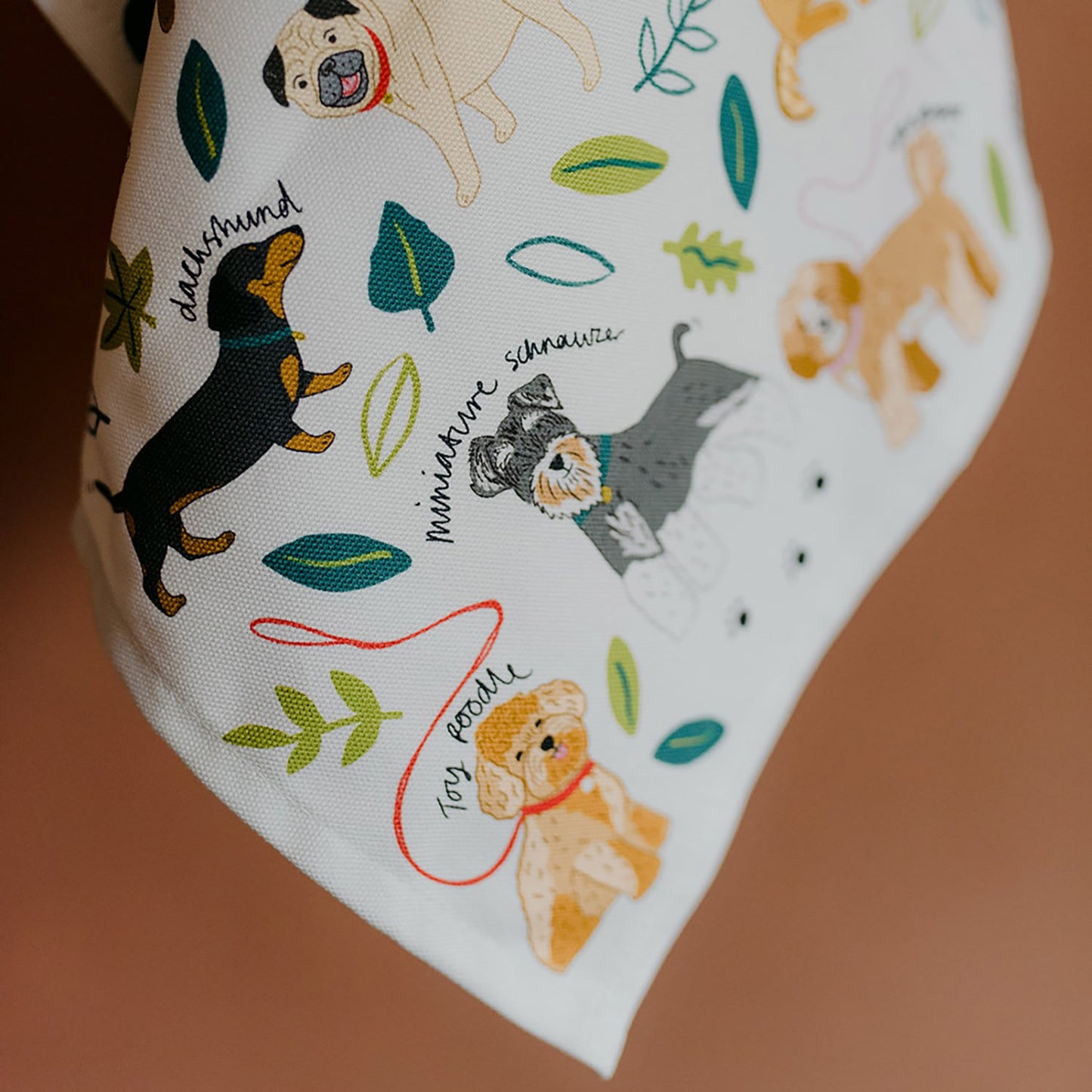 Torchon en coton bio pour chiens