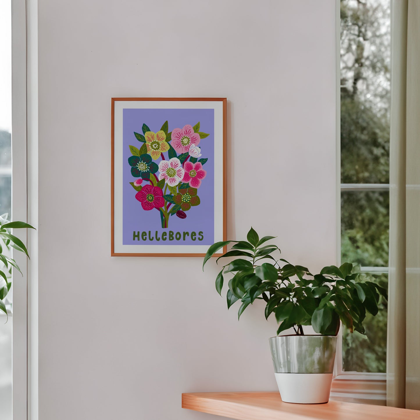 Hellebores  Flower Art Print