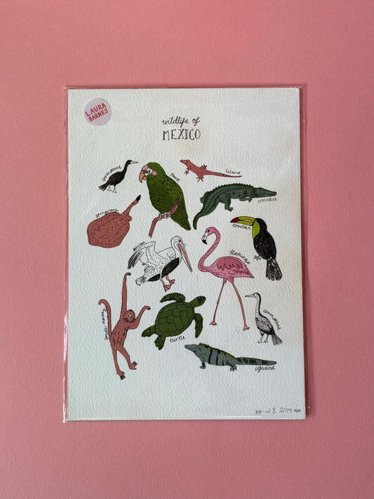 SECONDS A4 WILDLIFE OF MEXICO PRINT