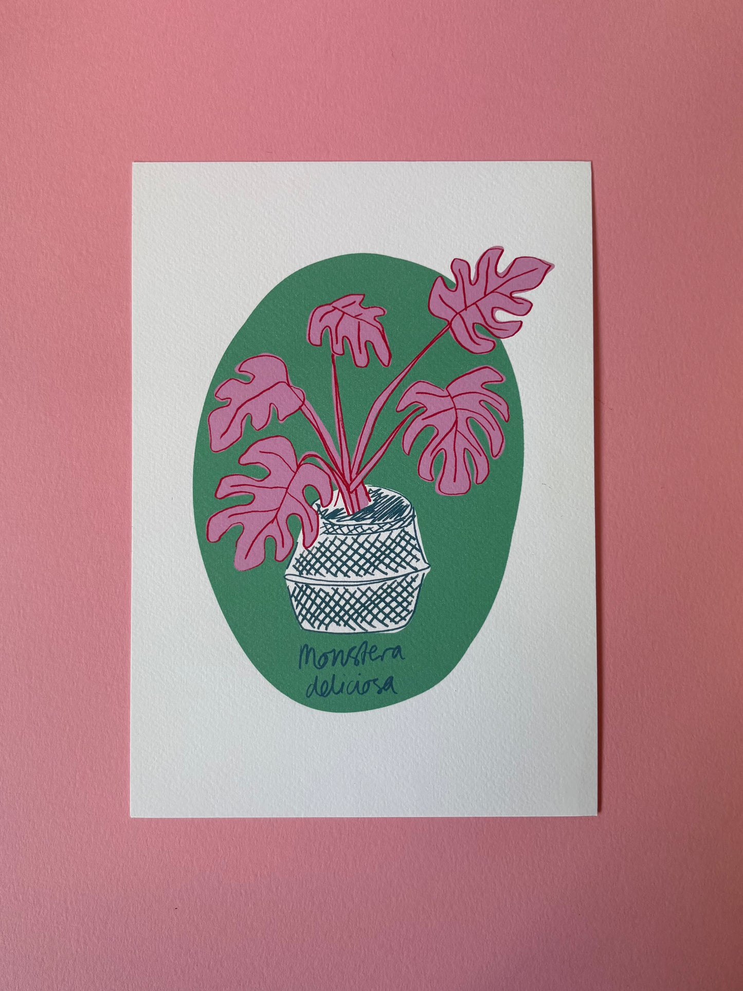 SECONDS A4 MONSTERA PRINT