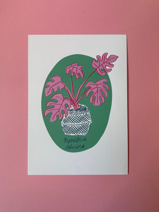 SECONDS A4 MONSTERA PRINT