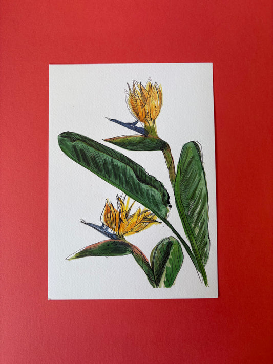 SECONDS Bird of Paradise Print