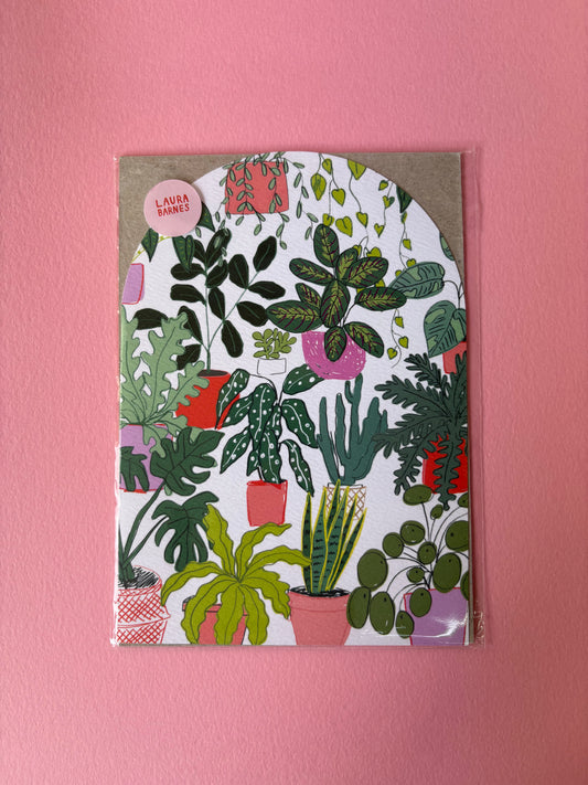 SECONDS A5 ARCH HOUSEPLANTS