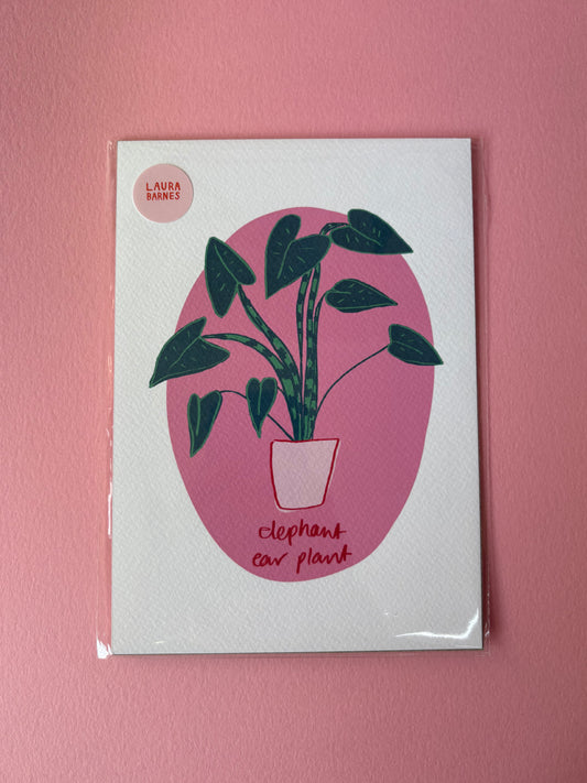 SECONDS ELEPHANT PLANT
