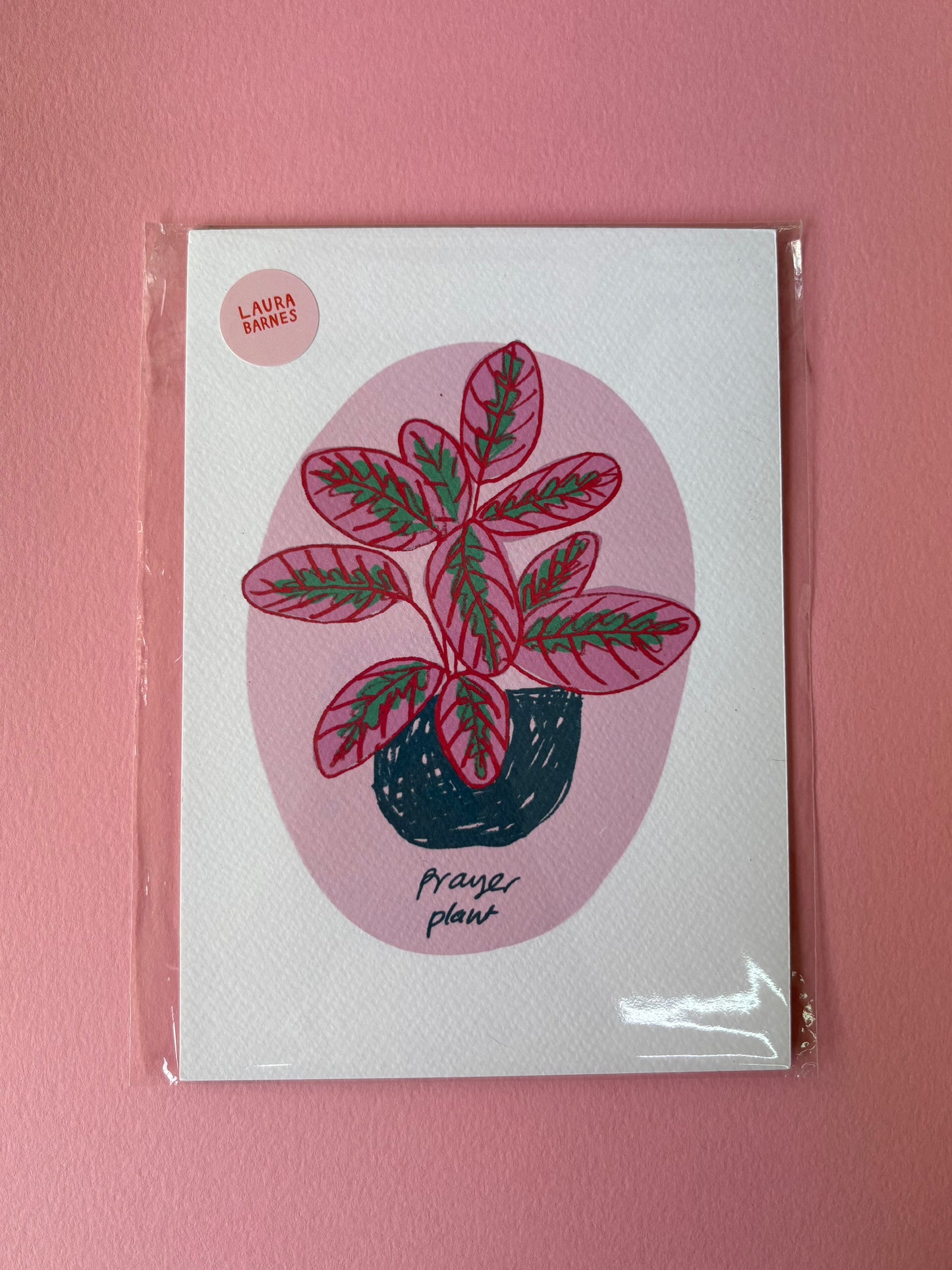 SECONDS PRAYER PLANT