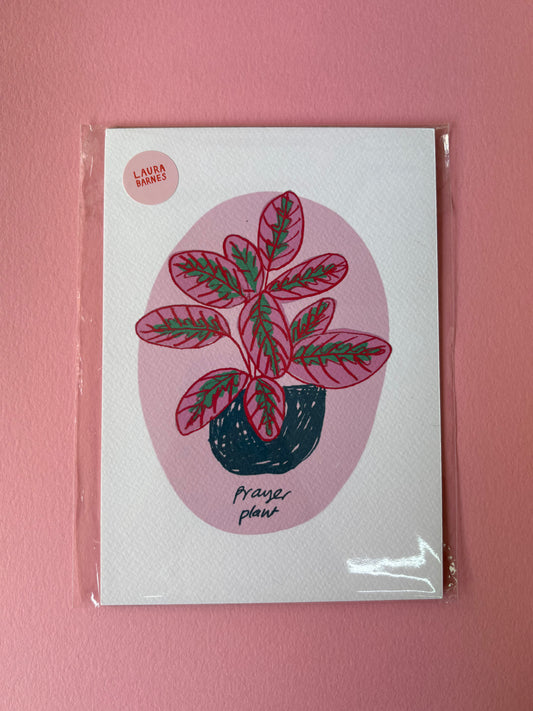 SECONDS PRAYER PLANT