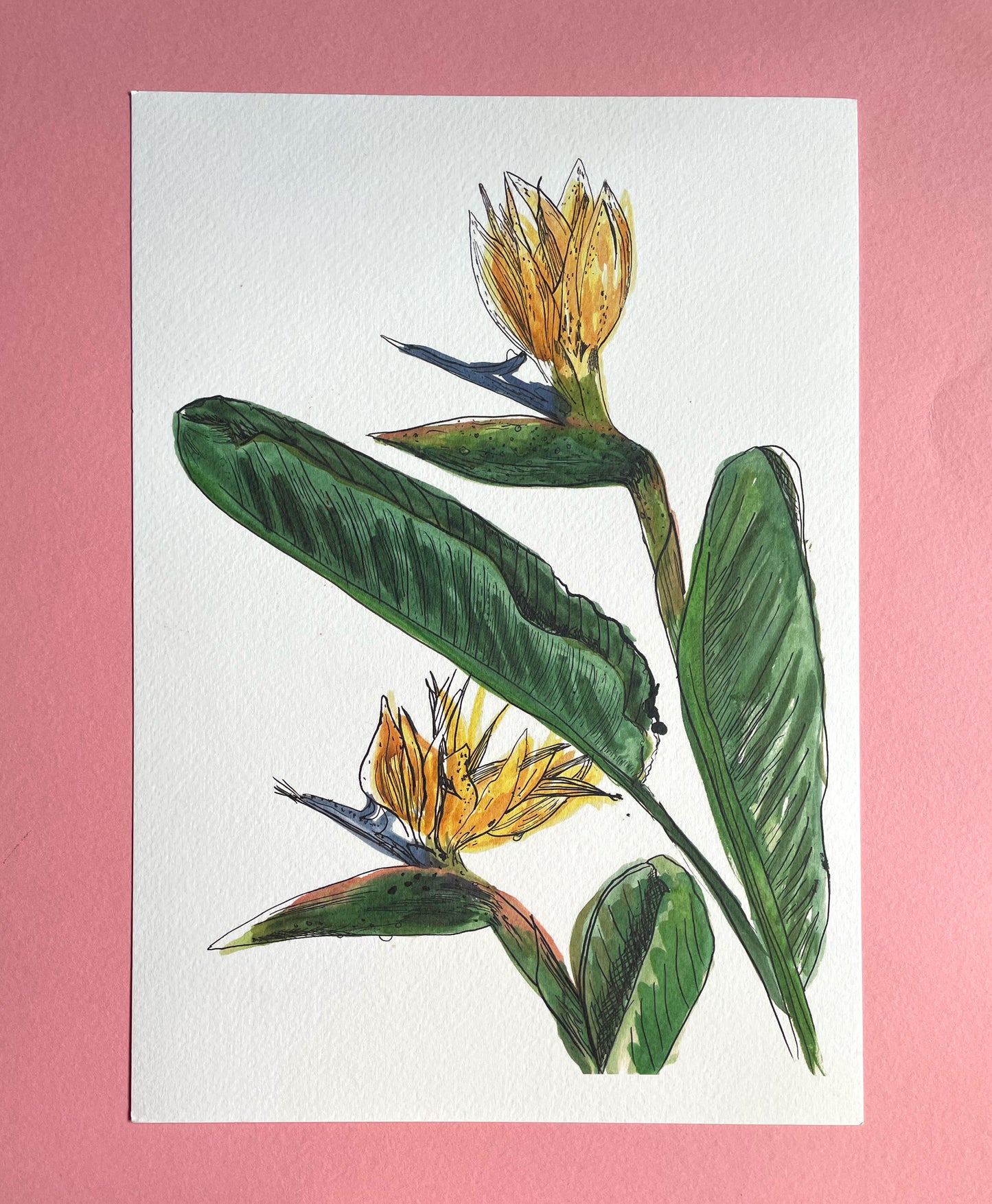 SECONDS Tropical Bird of Paradise Print A4 Size