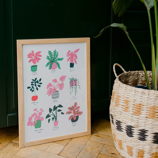 Lámina artística de la colección de plantas de interior