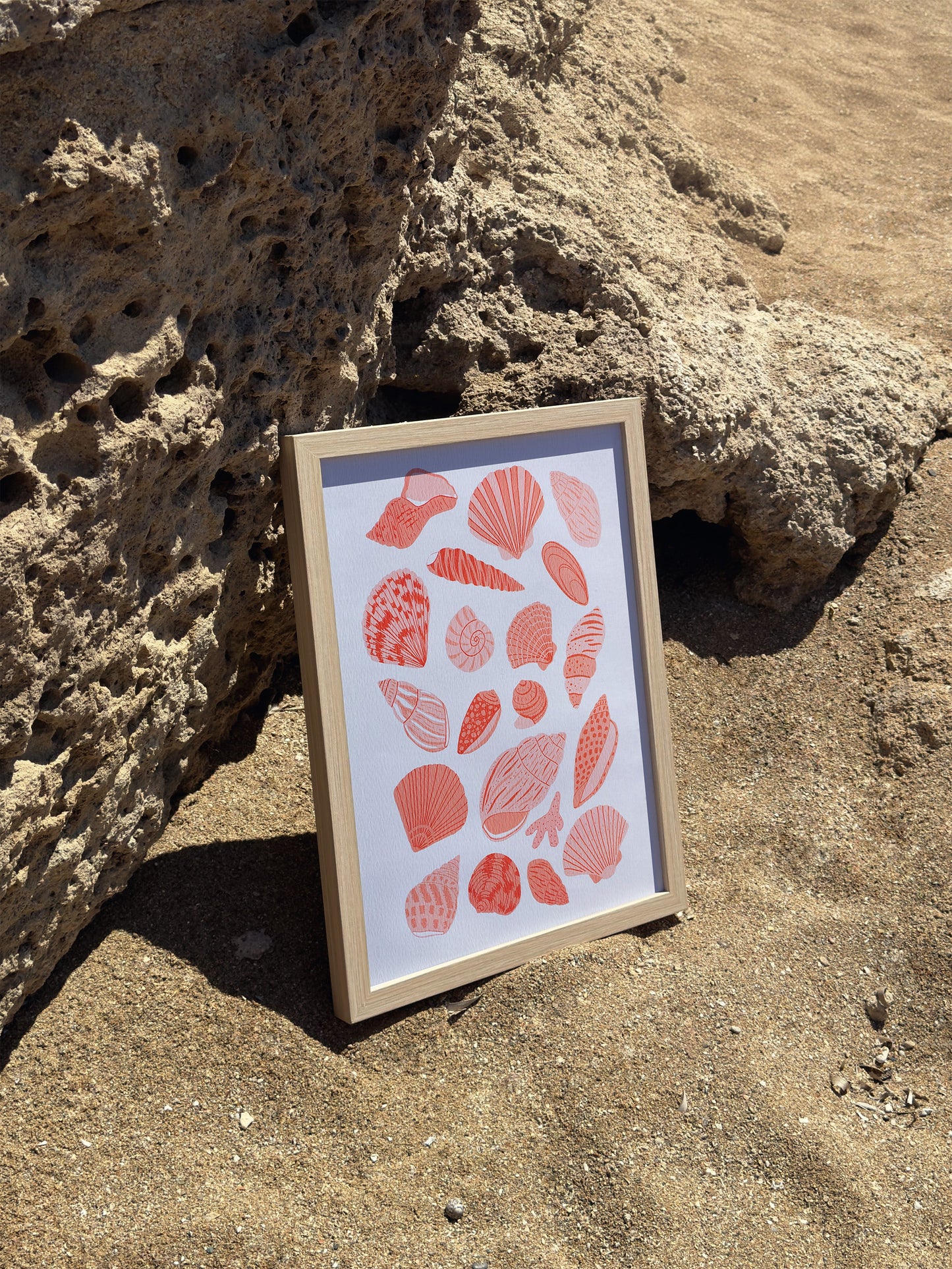 SECONDS Shells Print A4 Size